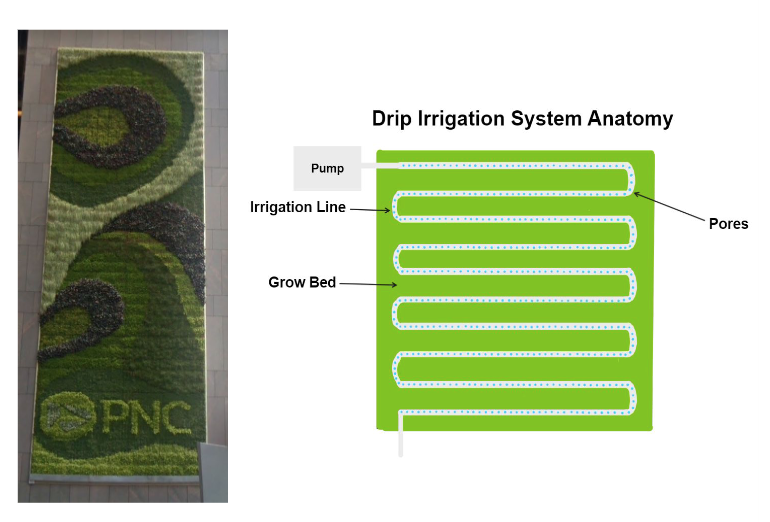 The PNC green wall that inspired the research next to a model of an example irrigation system for a wall